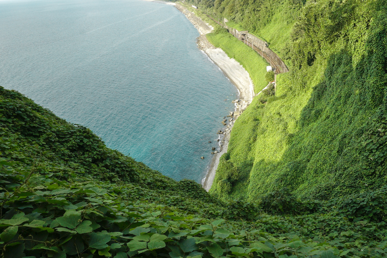 Discovering the beauty of Batumi Botanical Garden